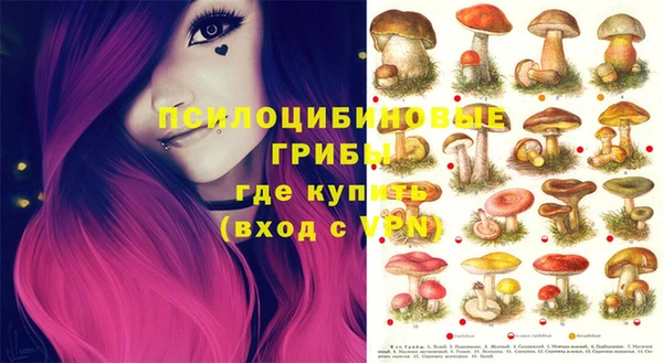 МДПВ Горняк