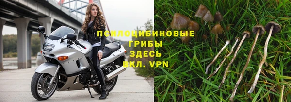 молекула духа Горнозаводск