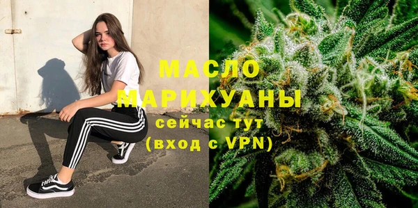 молекула духа Горнозаводск