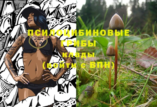молекула духа Горнозаводск
