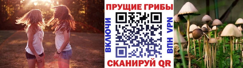 продажа наркотиков  Губкин  Псилоцибиновые грибы GOLDEN TEACHER 